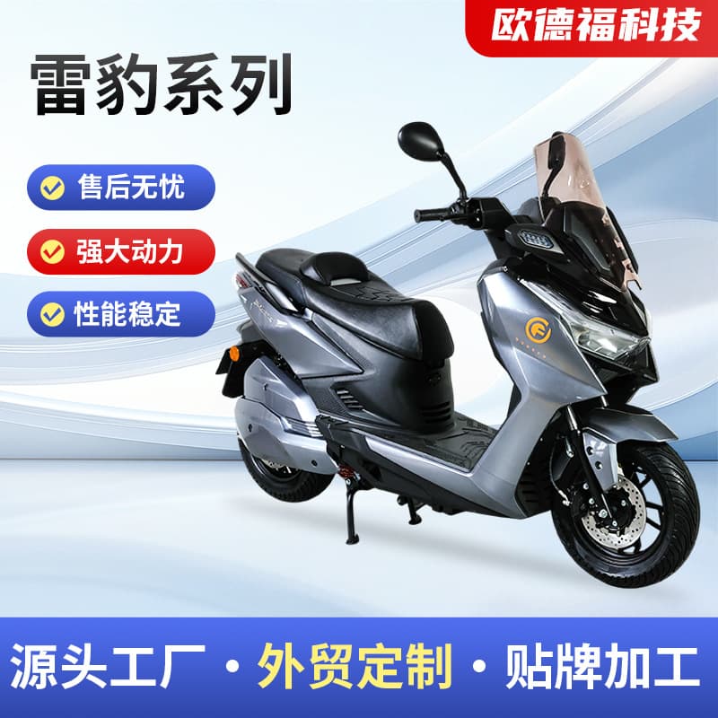 Leopard Series National Standard High-Speed Black Knight Fishing and Climbing Electric Bicycles for Export and Wholesale