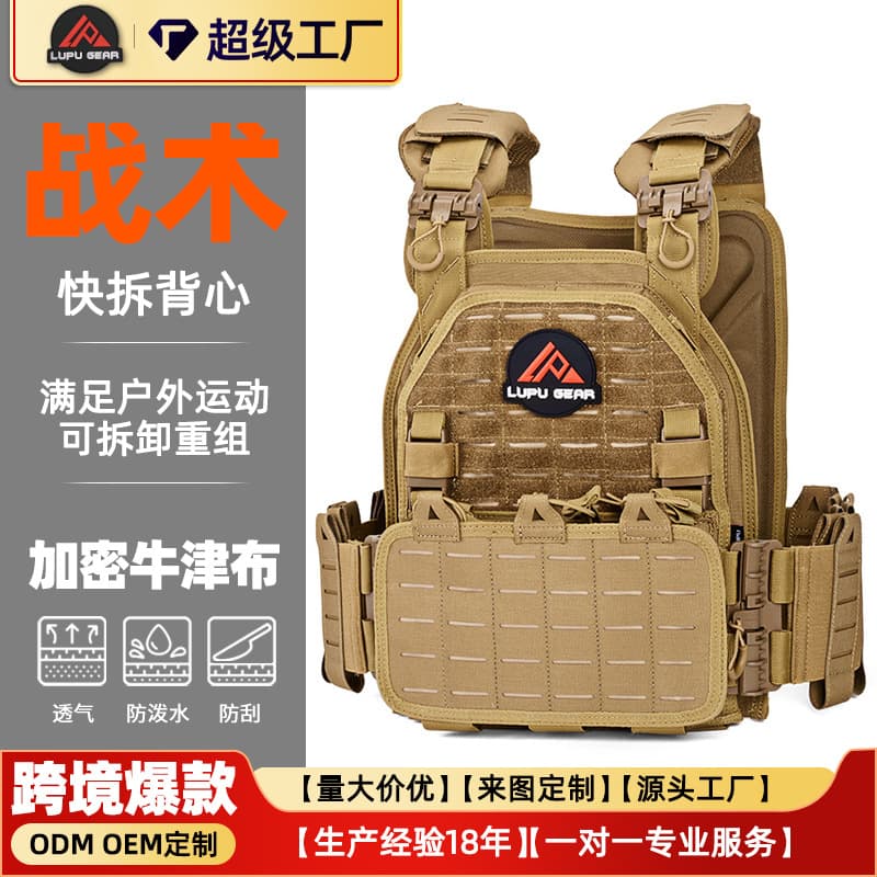 Amazon Cross-border Outdoor Molle Tactical Vest Field Training Vest 1000D Wear-resistant Nylon Protective Equipment