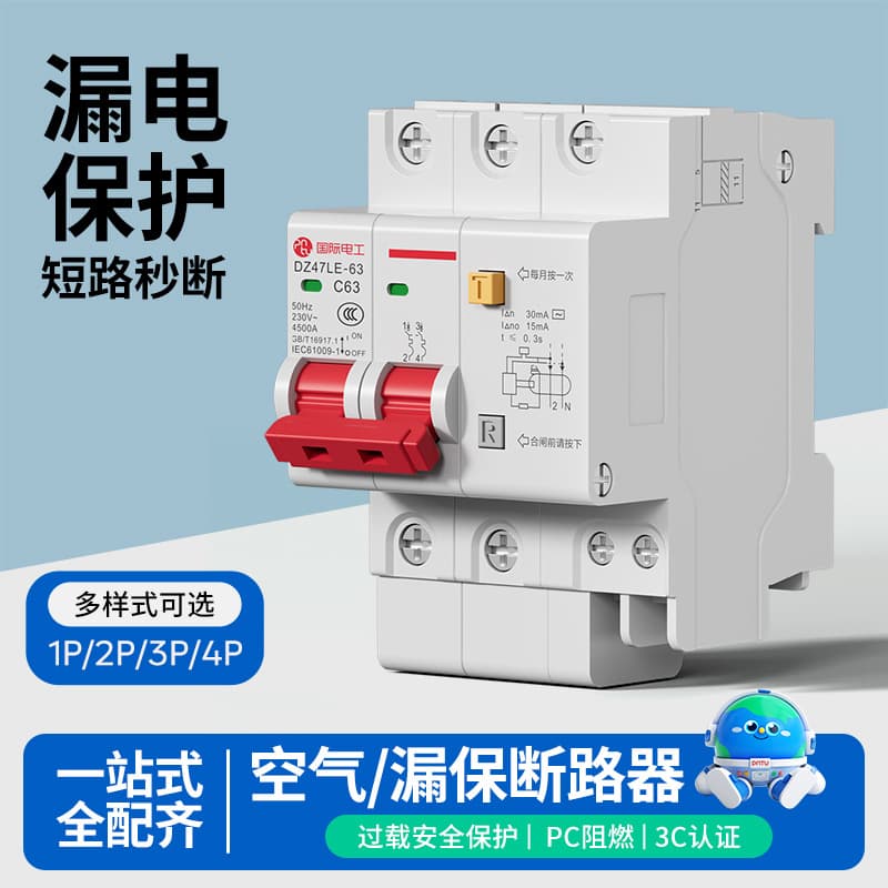Leakage protector switch 2P63A circuit breaker DZ47LE bipolar air switch 1P2P3P4P household