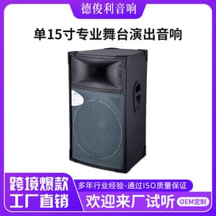Export Professional Stage Performance Audio Single-Driver 15-inch Home Party Square Dance High-Power Wooden Speaker