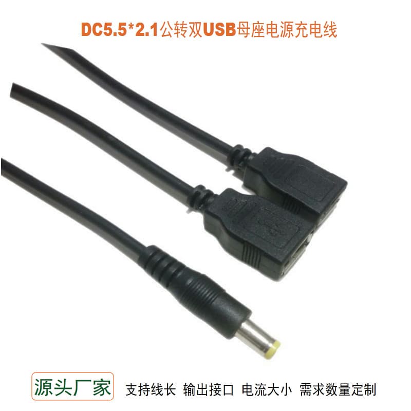 DC5.5*2.1 to Dual USB Female Charging Cable Portable Digital Device USB Female One-to-Two Splitter Power Cable