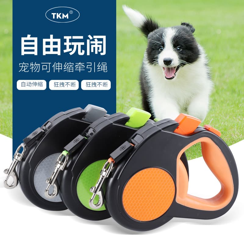 5m Automatic Retractable Dog Leash for Small to Medium Pets, Colorful One-Button Control Leash
