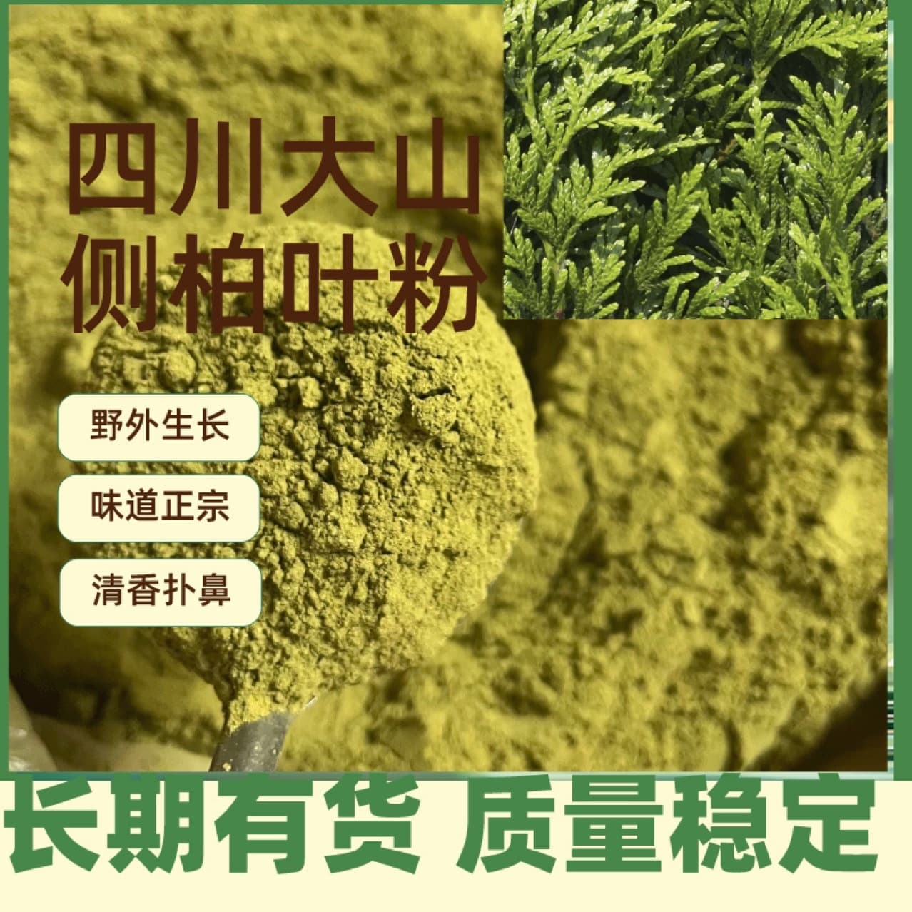Sichuan wild arborvitae leaf powder, traditional Chinese medicinal herb, freshly ground wholesale, fine powder texture, bulk supply of natural cypress.