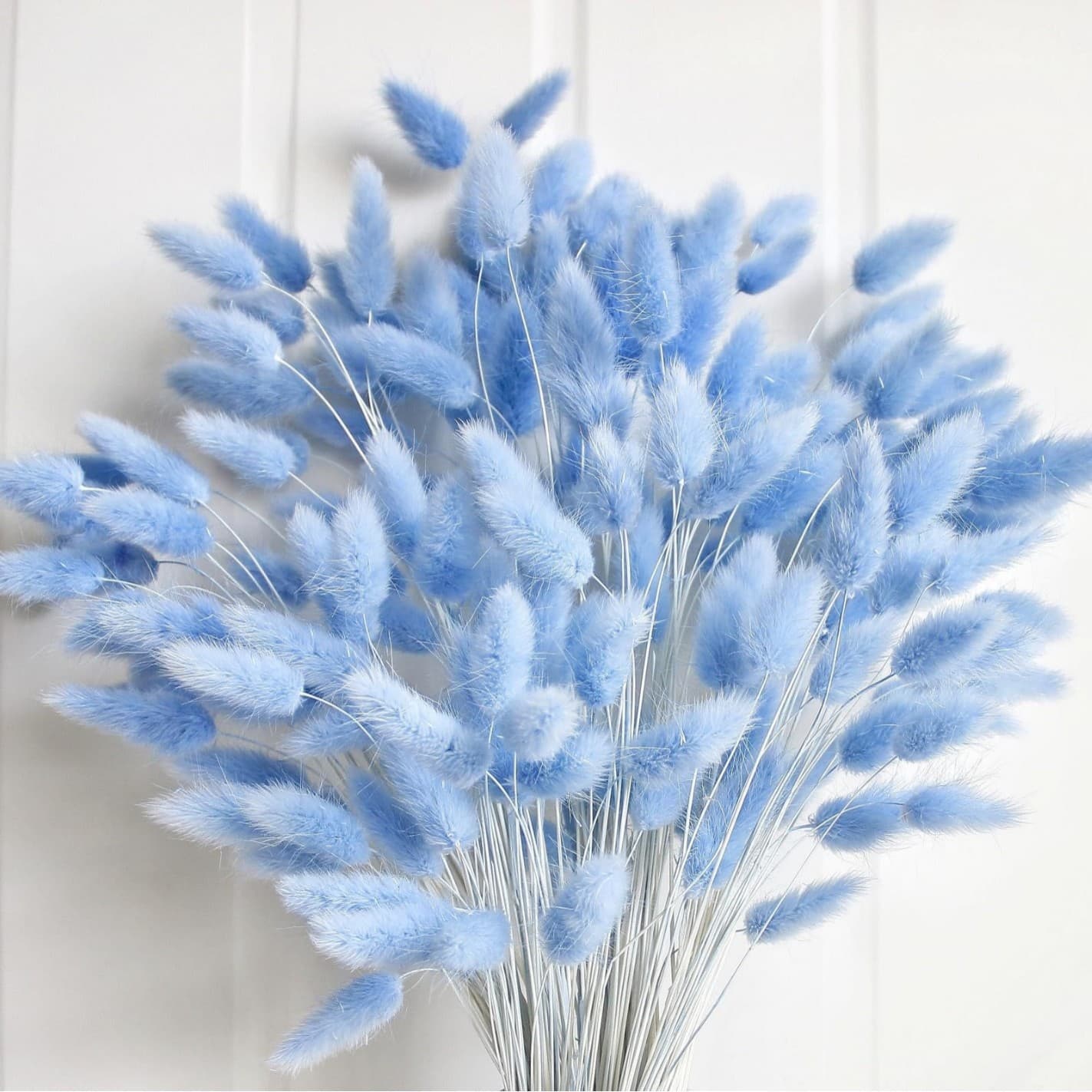 Amazon Same Style Blue Bunny Tail Dried Flowers Real Flowers Pampas Grass Decor Preserved Dried Flower Bouquet Factory Direct