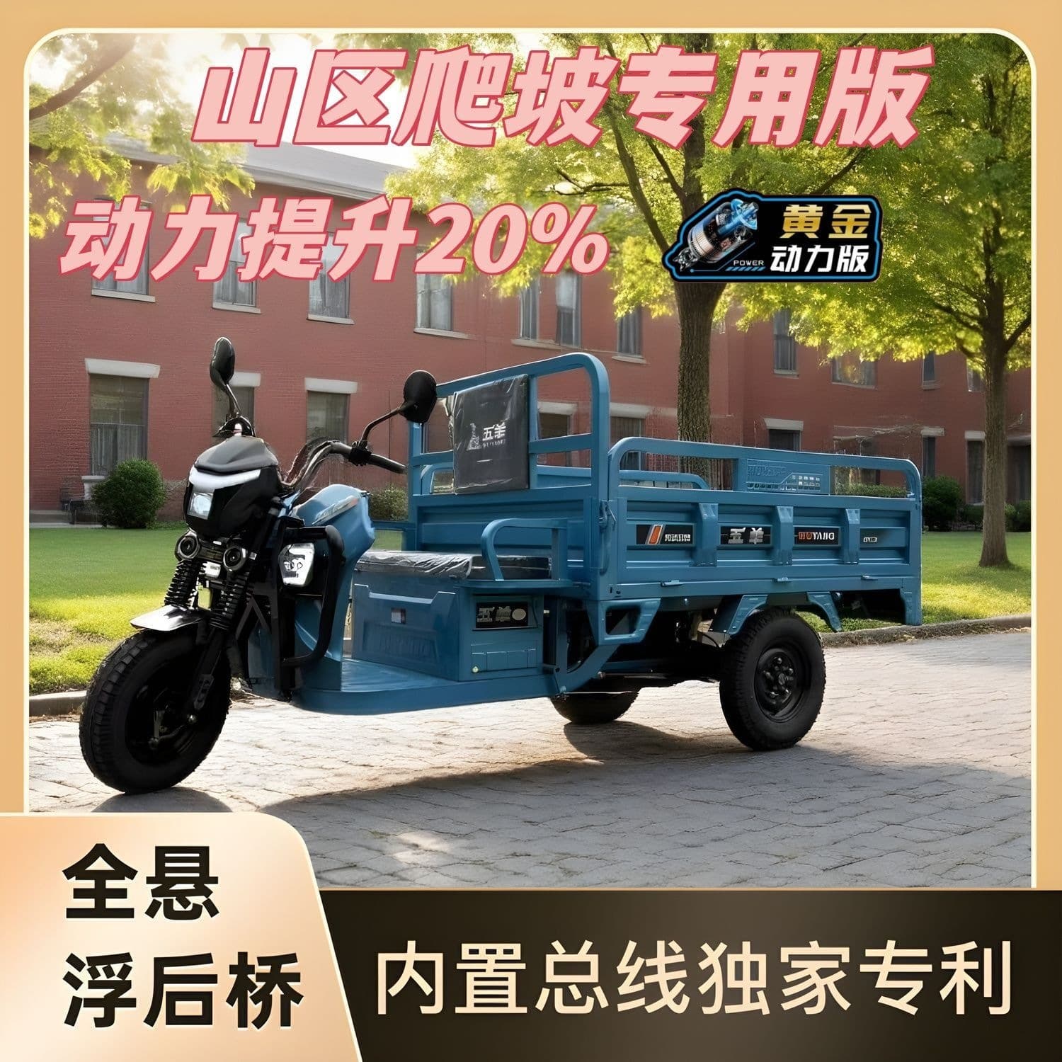 Heavy-Duty Electric Cargo Tricycle for Mountain Climbing, Agricultural Use, Street Vending, Express Delivery, National Standard Adult Logistics Tricycle - Wuyang