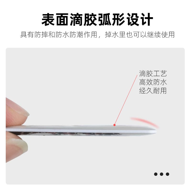 IDIC Access Control Epoxy Keychain Card, RFID Card for Attendance, Electronic Entry and Door Access