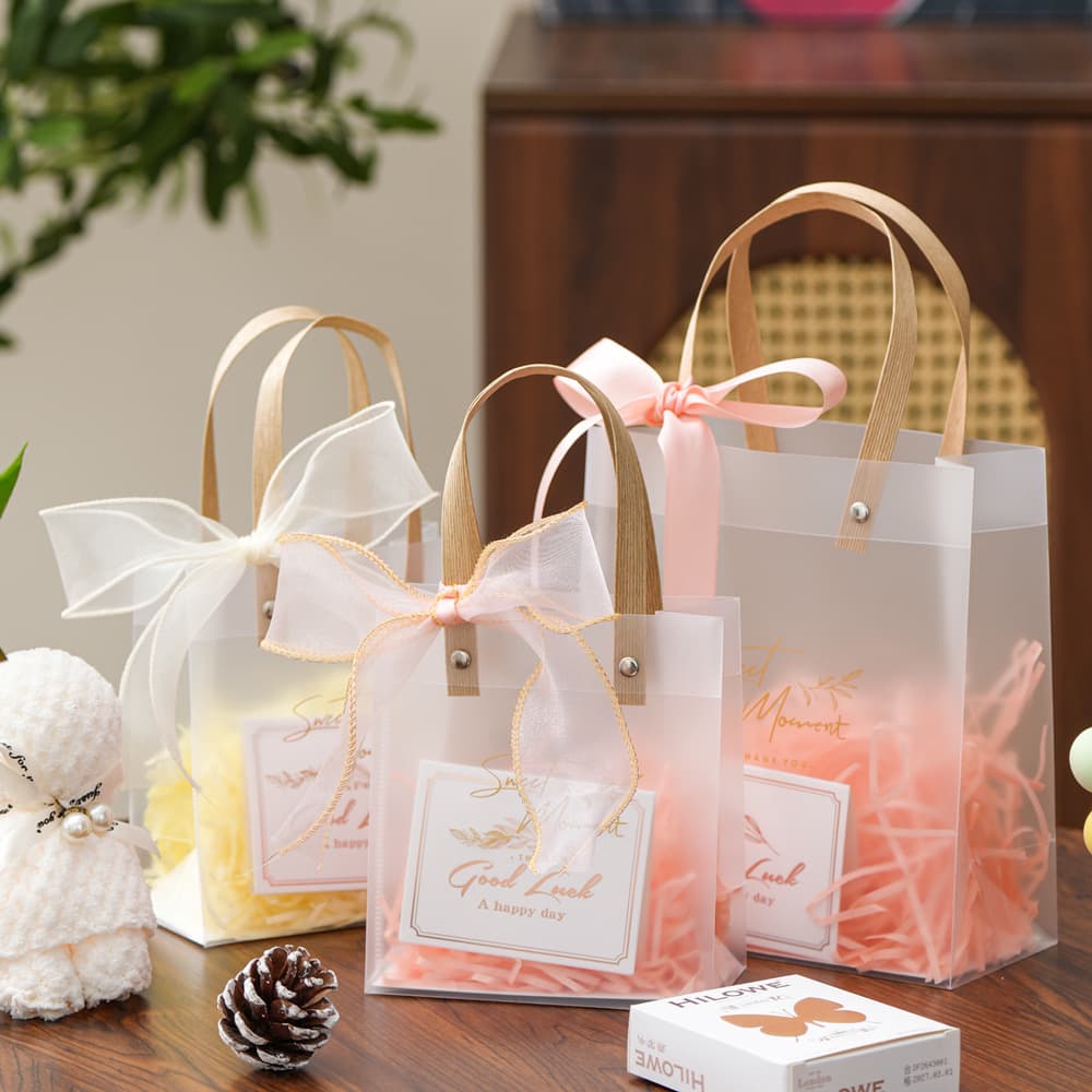 Children's Birthday Graduation Teacher's Day Gift Bag Transparent Favor Bag Small Gift Packaging Bag