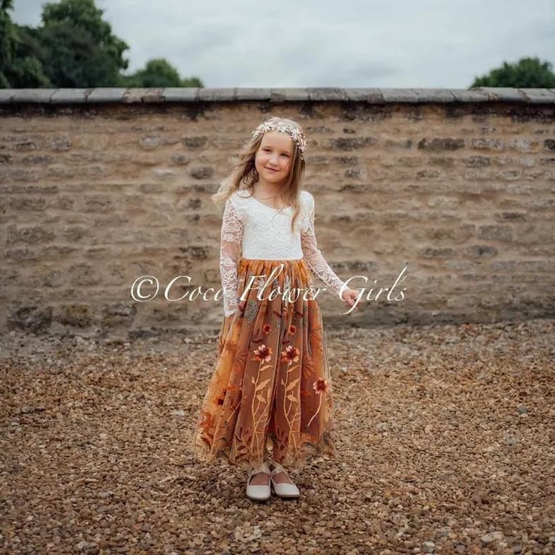 Cross-border lace long-sleeved dress for girls caramel color embroidered flower princess dress children's birthday party dress