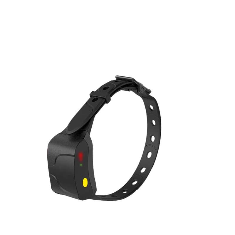 Patpet Dog Trainer Professional 600M Remote Bark Collar One Transmitter Two Receivers