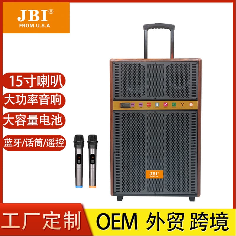 JBI-T55 Factory Custom Party Speaker OEM Factory 15inch MDF 200W