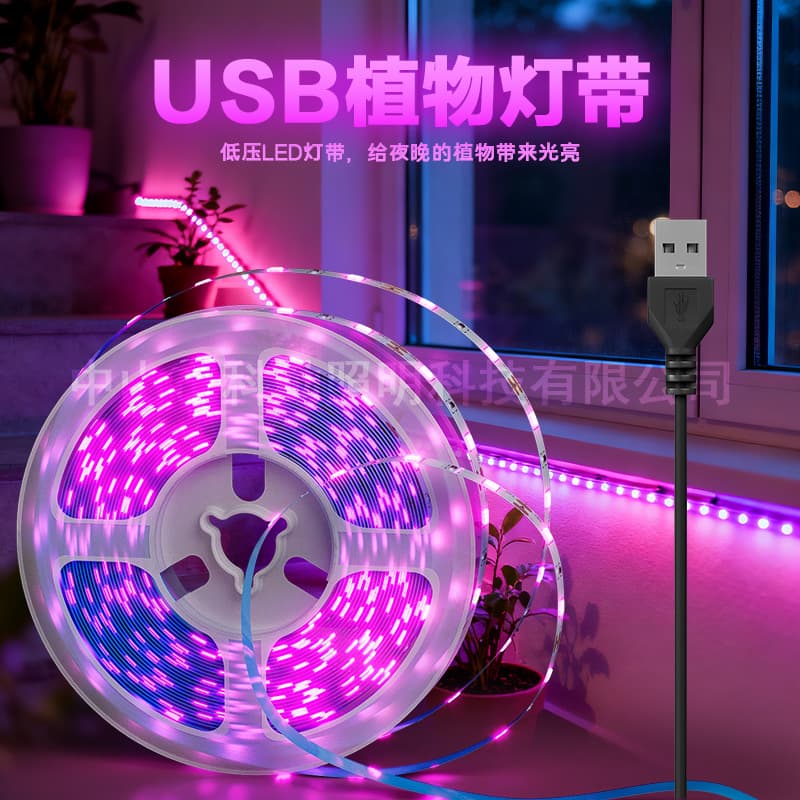 Cross-border USB Interface Greenhouse Vegetable Fruit Flower Grow Light LED Succulent Plant Fill Light Household Full Spectrum Succulent