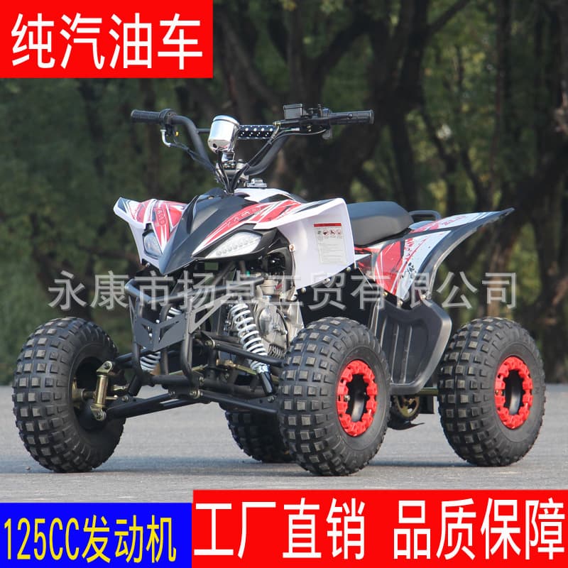Little Mars 125CC Adult Four-Wheel Off-Road ATV Dune Buggy All-Terrain Vehicle