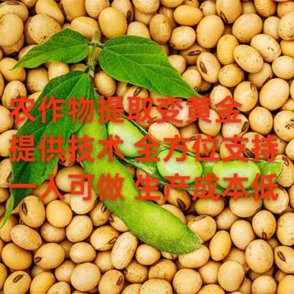 Corn-extracted plant protein peptides: New business opportunity turning crops into "gold