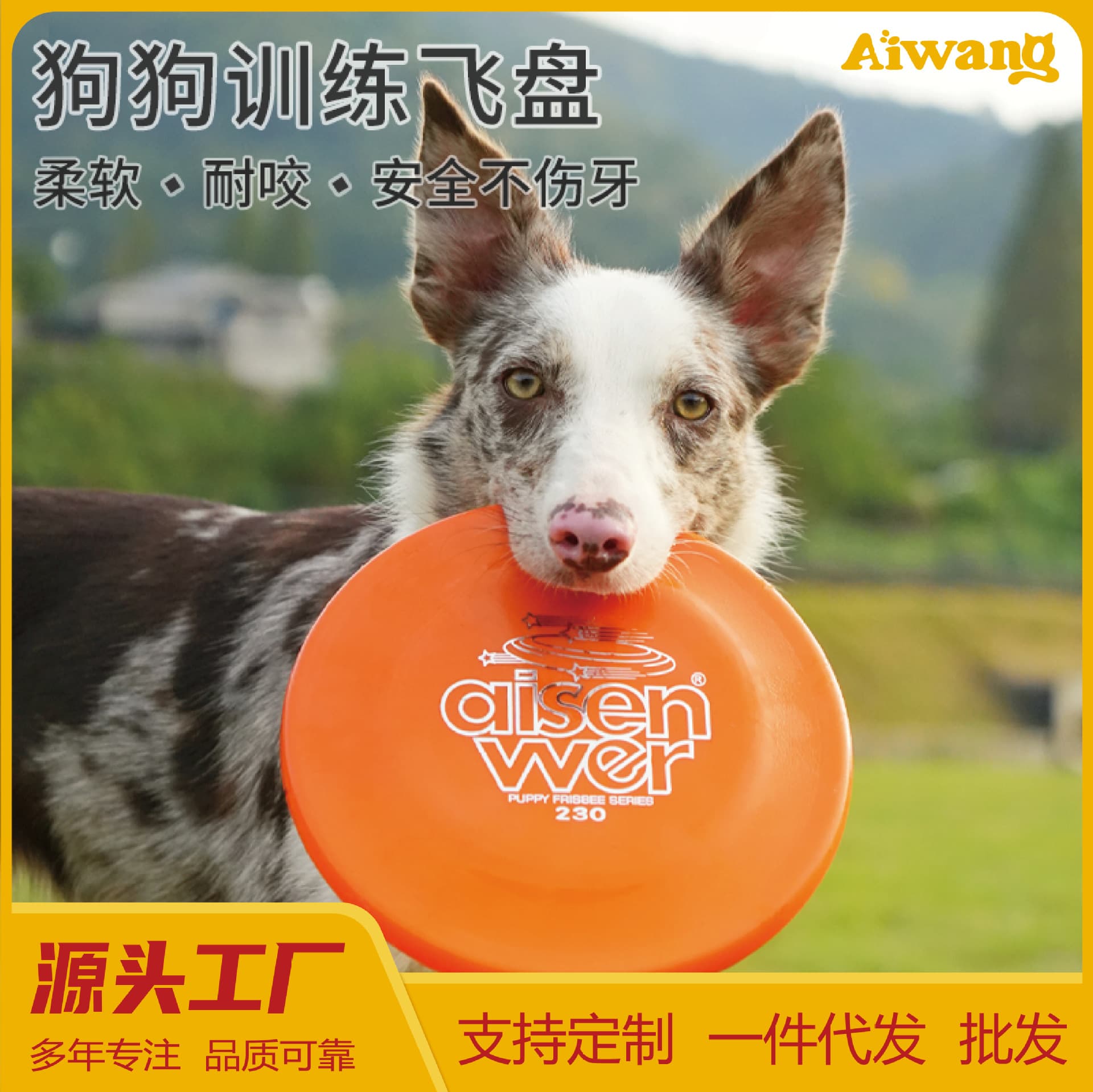 Soft Durable Flying Disc Dog Toy Competition Standard TPR Frisbee Pet Interactive Dog Frisbee Manufacturer