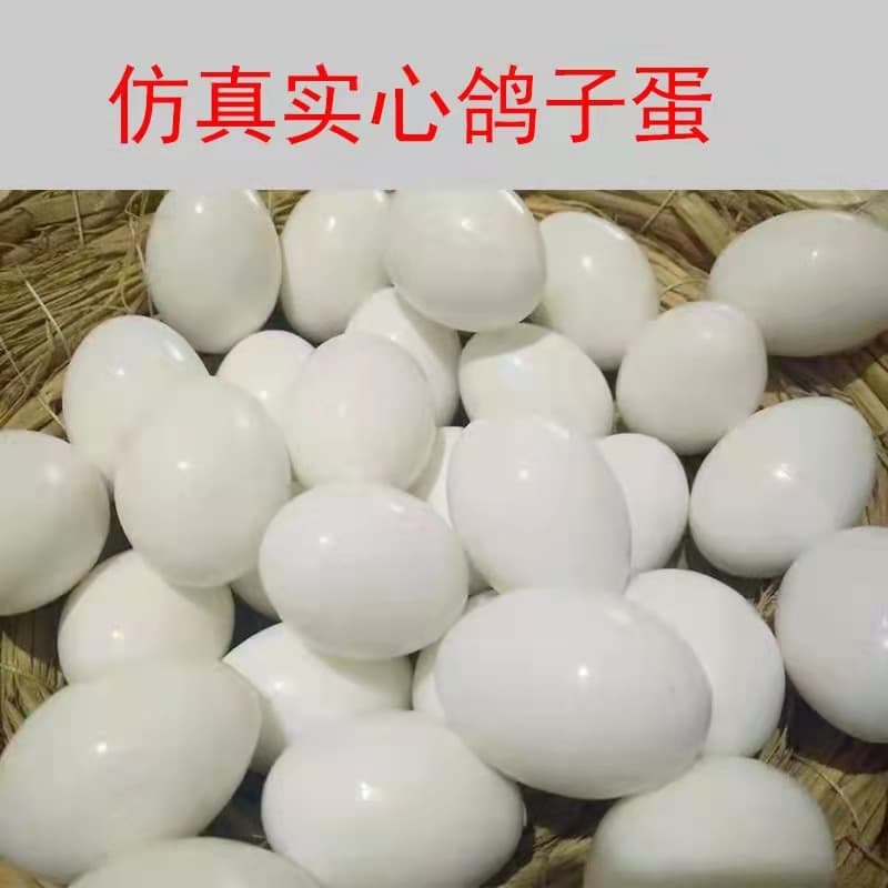 Pigeon Supplies, Solid Fake Egg Cages, Nest Rings, Racing Pigeons, Breeding Manufacturers, Bird Breeding Aids