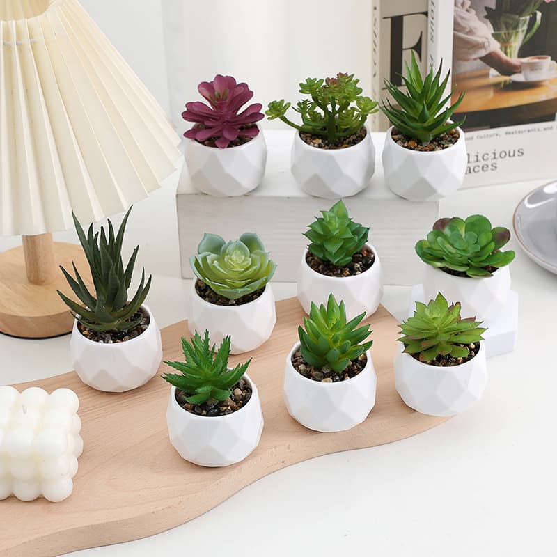 In-Stock Simulation Succulent Potted Plants - Diamond-like Ceramic Plastic Pots, Cross-Border Hot-Sale Home Landscape Decor Wholesale