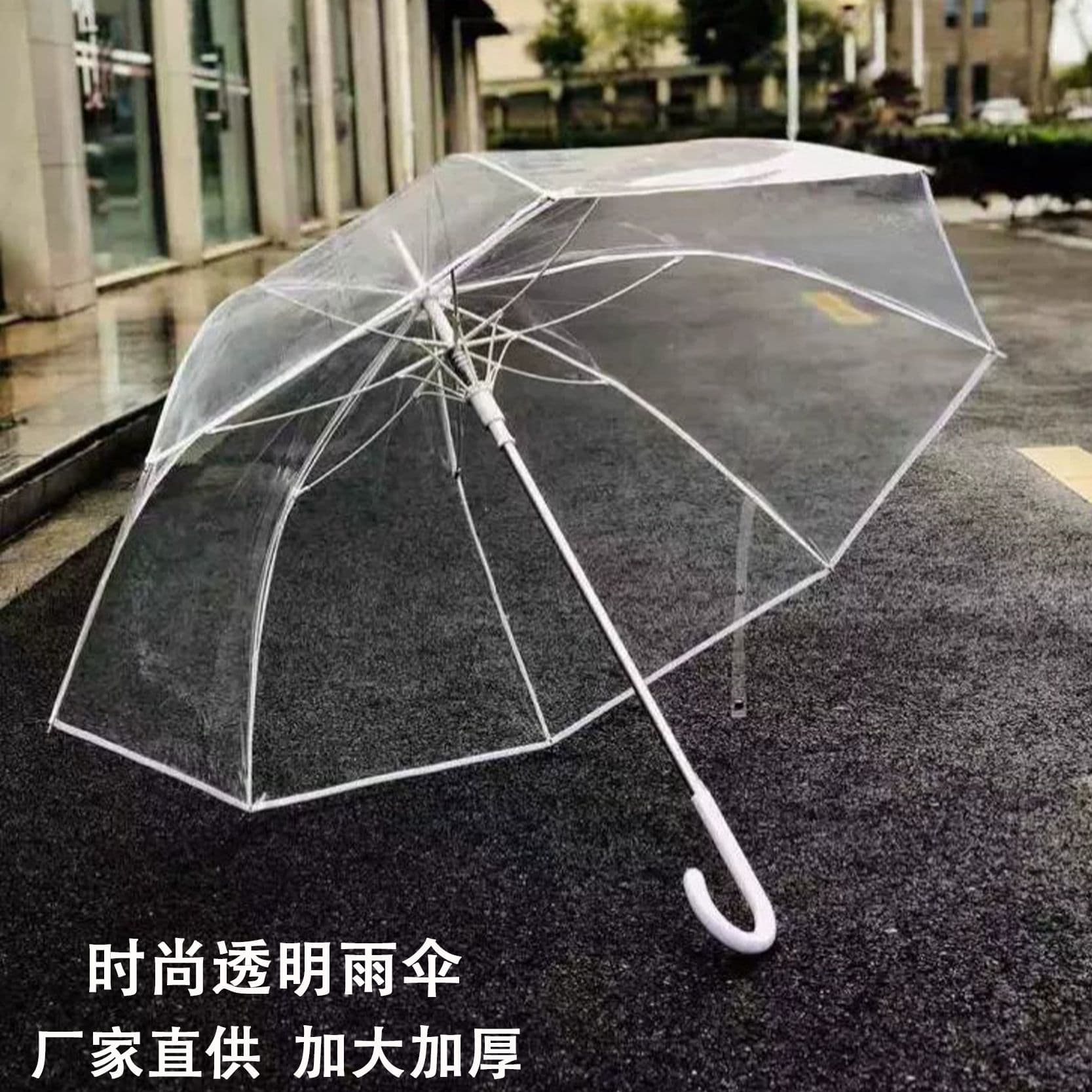Fresh style long handle transparent umbrella, colorful straight rod transparent rain umbrella, automatic umbrella gift advertising umbrella with logo printing