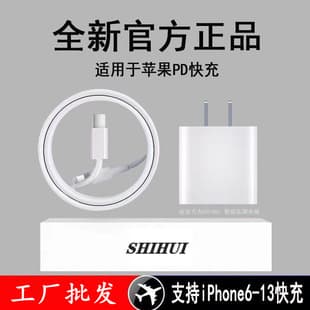 20W Fast Charger PD Charging Head Charging Cable for iPhone 13 iPhone X/11/12/ProMax Set