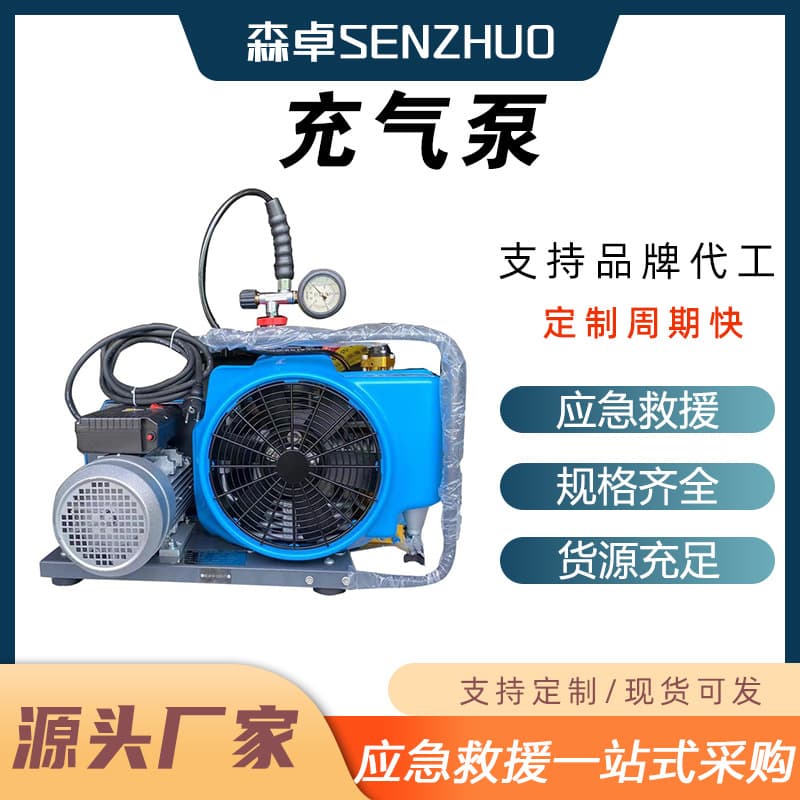 Portable fire emergency air pump high pressure air compressor high power fixed filling pump