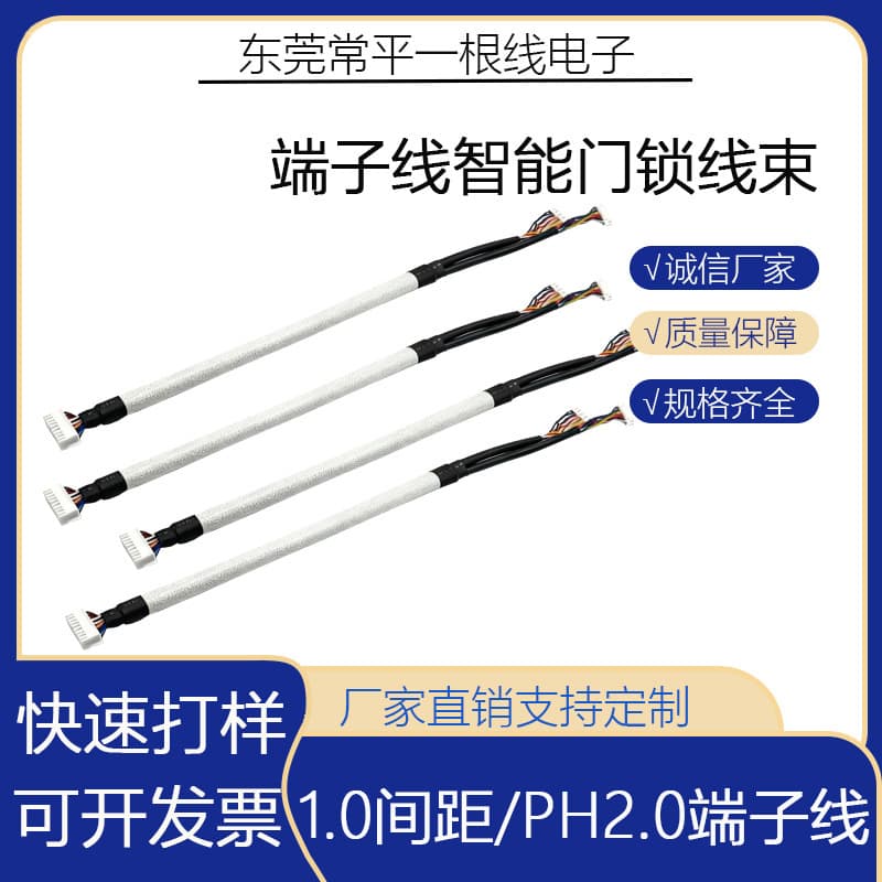 1.0 Pitch/PH2.0 Terminal Wire Smart Door Lock Wiring Harness Electronic Connection Wire Factory Wholesale Processing
