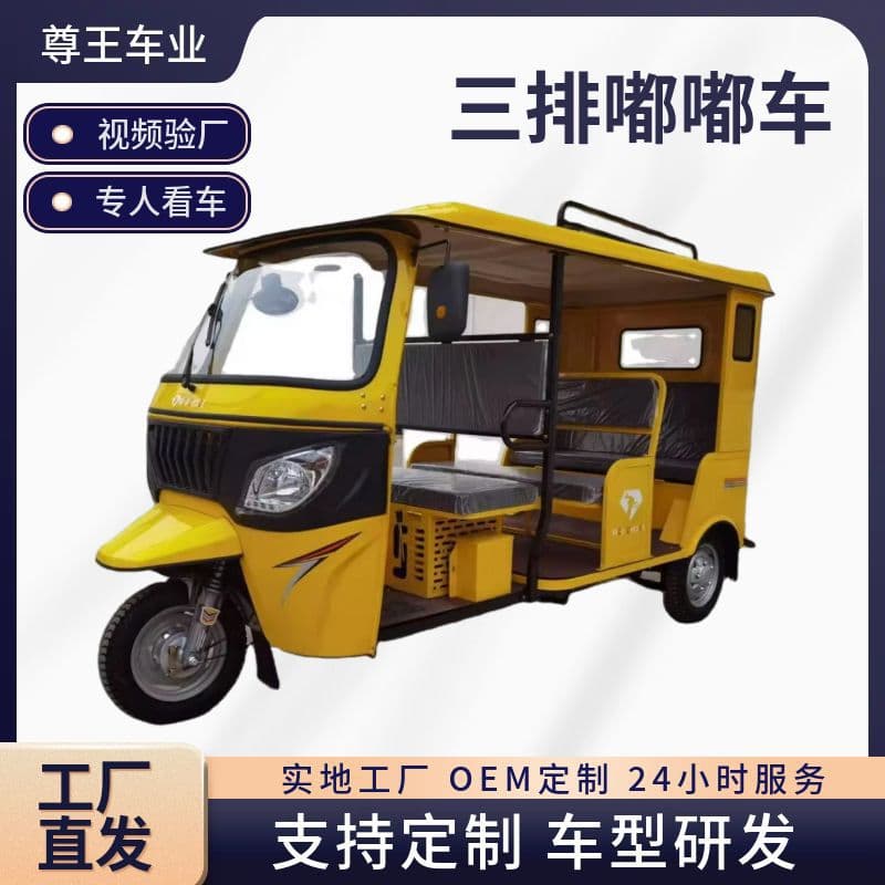 TVS 9-Seat Tuk-Tuk Ride-On Fuel Three-Wheeled Motorcycle Passenger Tricycle Source Export Factory