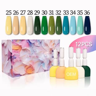 Cross-border Premium Gel Polish Color Bottle, One Color Per Bottle, Gel Nail Polish Set for Nail Salons