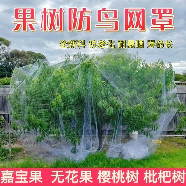 Cross-border Fruit Tree Cover Bird Netting for Jaboticaba, Loquat, Cherry, Blueberry Orchard Nylon Protective Net for Vegetable Garden Balcony
