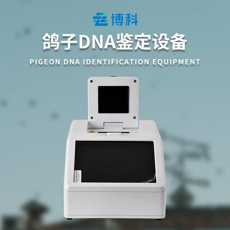 Racing Pigeon Flight Ability Tester, Pigeon DNA Identification Equipment, DNA Testing Instrument for Pigeon DNA Detection