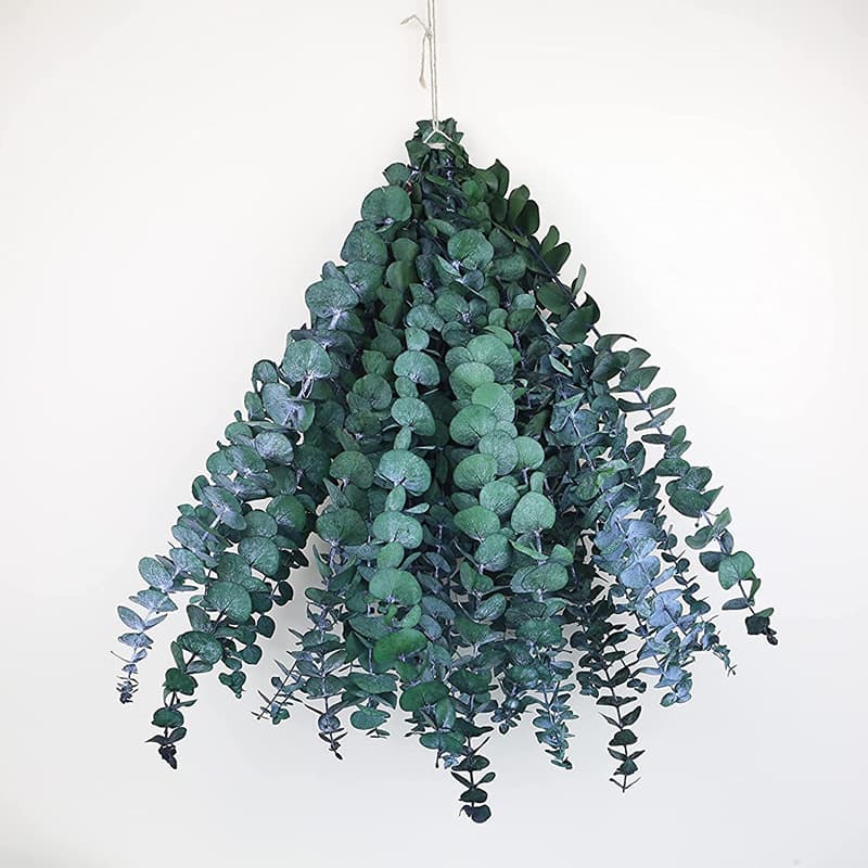 Immortal eucalyptus leaves dried flower bouquet flower arrangement small and fresh with flowers eucalyptus leaves ins internet celebrity plant
