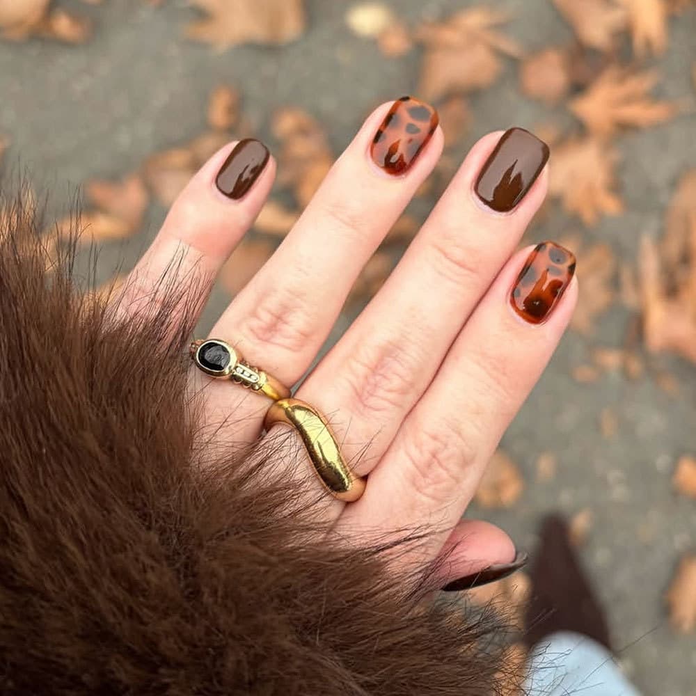 Amber Brown Leopard Wear Nails Short Square Solid Color Dark Brown Contrast Color Retro Commuting Removable Fake Nails Wholesale