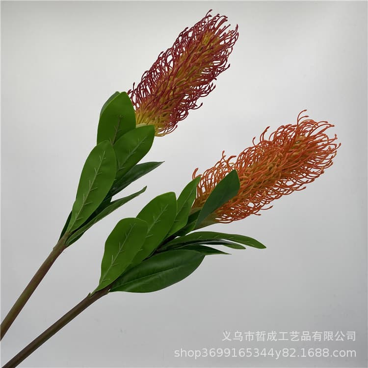Simulated Protea South African Tropical Fake Wedding Floor Arrangement Material Vintage Artistic Floral Style Windmill Flower