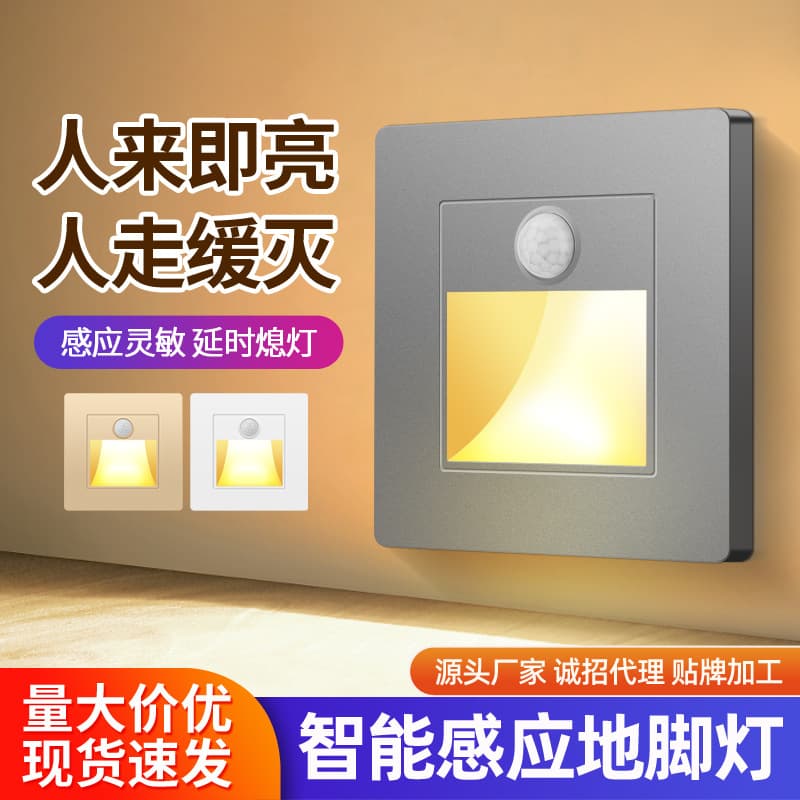 Model 86 Embedded Human Body Induction Floor Light, Stair Step Sensor Light, Hallway/Corridor LED Skirting Light