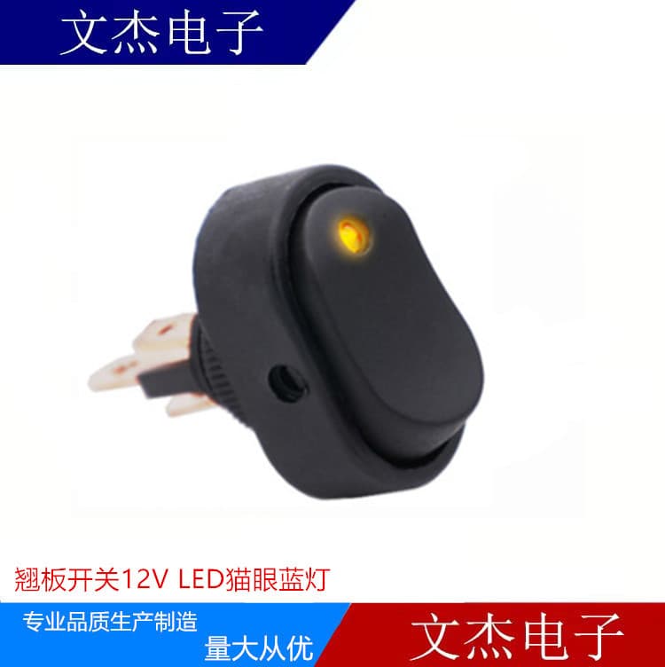 Power Switch Car Modification Switch Large Oval Boat Switch with Light 12V 30A LED Cat Eye Light