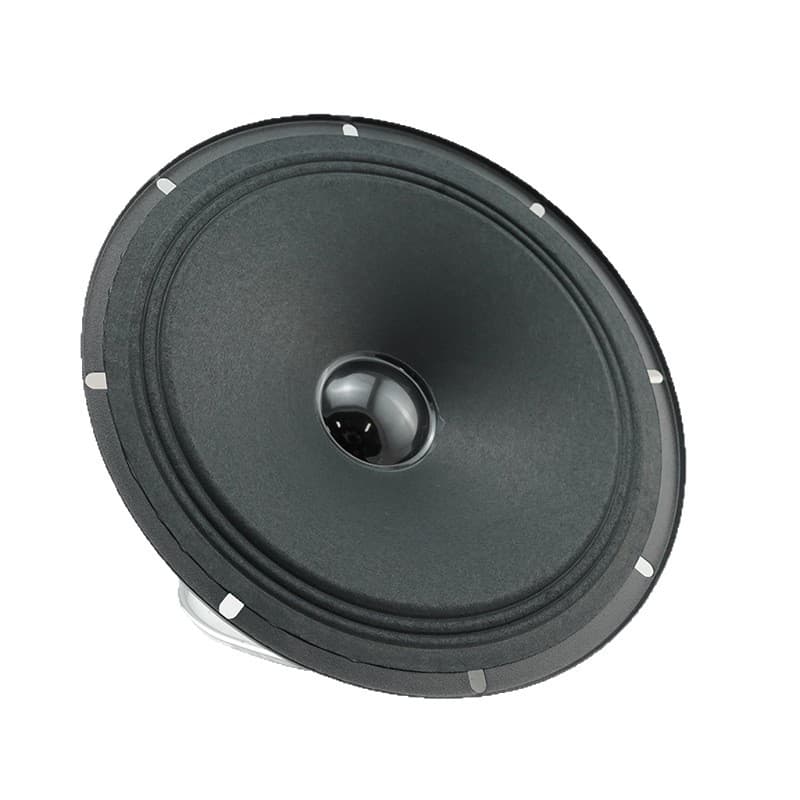 TYR-0803-0051 8-inch 80mm Magnet 19mm Core Full Paper Outdoor Audio Speaker