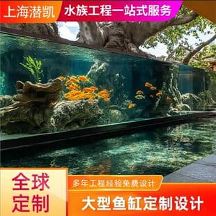 Custom High-End Large Aquarium, Custom-Shaped Fish Tank Manufacturer, Custom Large Ornamental Fish Tank, Large Aquarium Construction