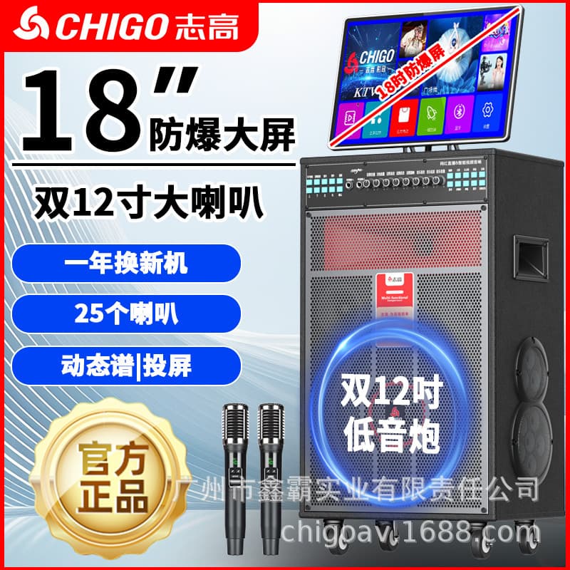 Chigo Square Dance Speaker with Display, Outdoor High Volume Bluetooth Karaoke Speaker, Home KTV All-in-One