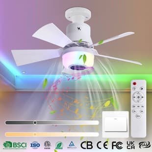 French Style Bestseller Screw Base Music Fan Light Multifunctional Fan Light Living Room Bedroom Silent Bluetooth Fan Light