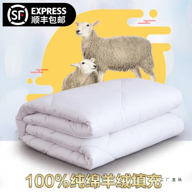 Lambswool Quilt Winter Blanket Spring/Autumn Blanket Dormitory Comforter Single/Double Wool Blanket Thick Warm Student Blanket