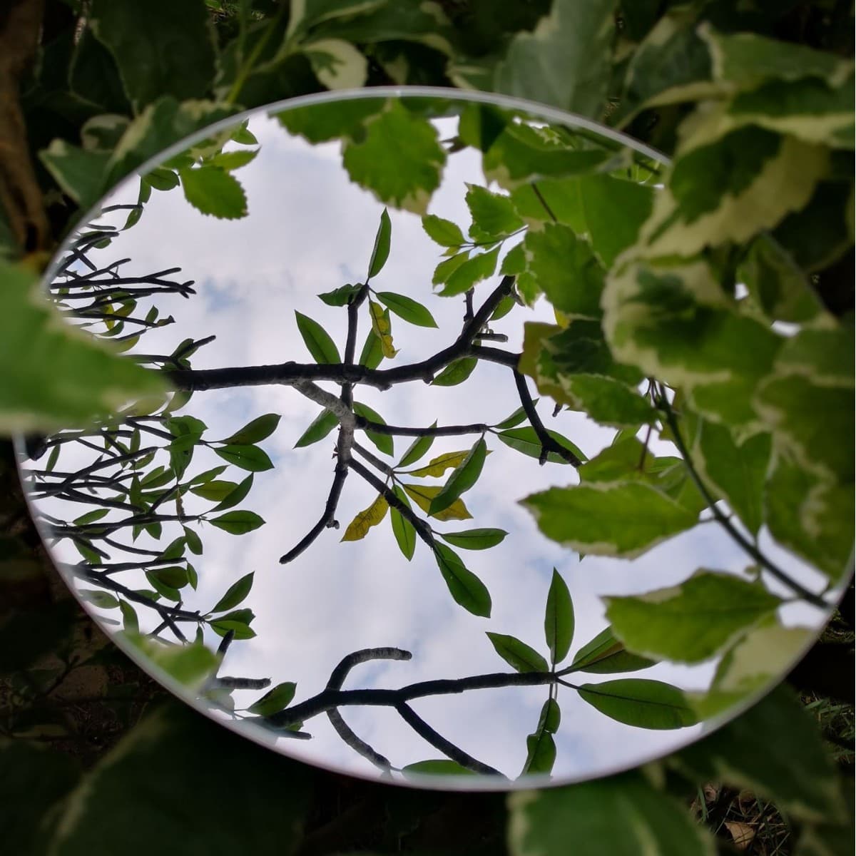 Adhesive Mirror Lens, Cosmetic Mirror Lens, Luggage Accessory Mirror Lens, PC Lens, Anti-Fog Lens, Hard-Coated Lens, Multi-Layer Mirror Lens