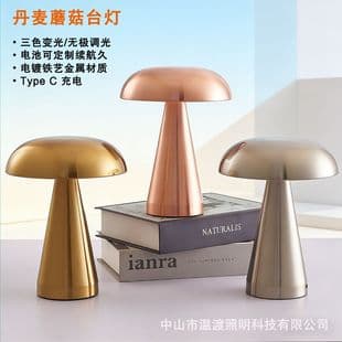 Cross-border Mushroom Lamp Rechargeable LED Night Light Internet Celebrity Hot Selling Desk Lamp Bedroom Bedside Lamp Living Room Atmosphere Lamp