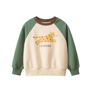 27kids Cross-border Children's Clothing Spring New Korean Style Kids Hoodie Fleece-Lined Baby Top Round Neck Drop Shipping