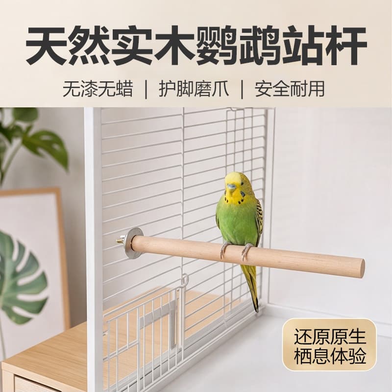 Parrot Play Stand Perch Solid Wood Toy Bird Cage Accessories Pet Entertainment for Cockatiel, Lovebird, Budgie Perch Stick