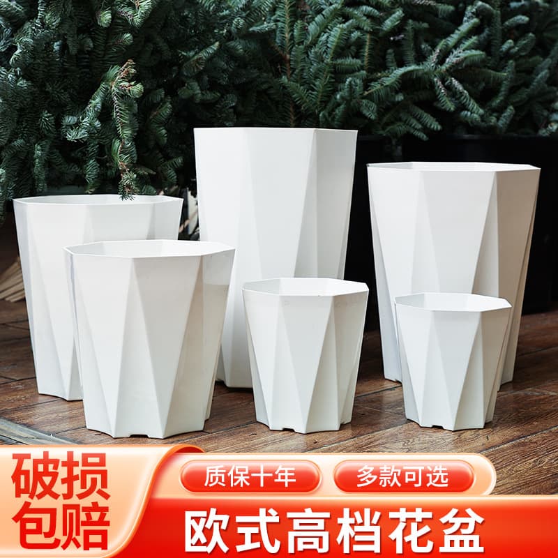Green plant large flower pot household light luxury high-grade plastic resin dragon blood tree turtle back bamboo paradise bird living room extra large