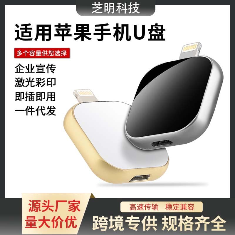 Stylish Premium USB Flash Drive for Computer and Phone 16G 32G 64G 128GB 2-in-1 Multifunctional 512g Ceramic USB Drive