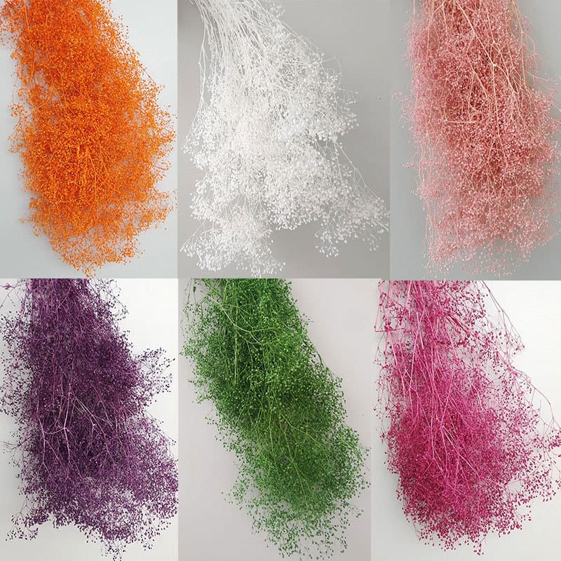 Dried Flowers, Baby's Breath, Tens of Millions of Stars, Dyed Grass, Starry Sky, Home Decor, Art, Small Starry Sky