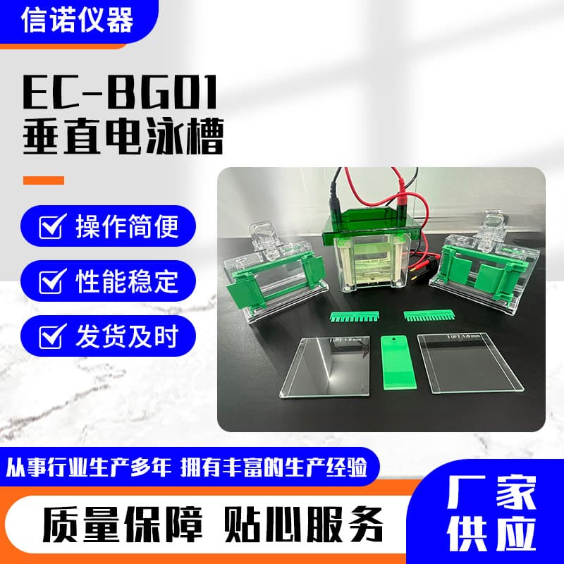 Wholesale EC-BG01 Vertical Electrophoresis Tank Universal Electrophoresis Apparatus Power Supply Mini Vertical Electrophoresis Apparatus Glass