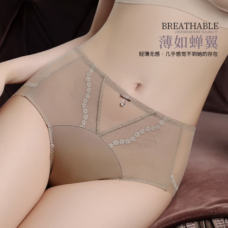 Lace Underwear for Women, Seamless, Mid-Low Waist, Sexy Women's Underwear, Silk Protein Antibacterial Inner Lining, Breathable Briefs for Women