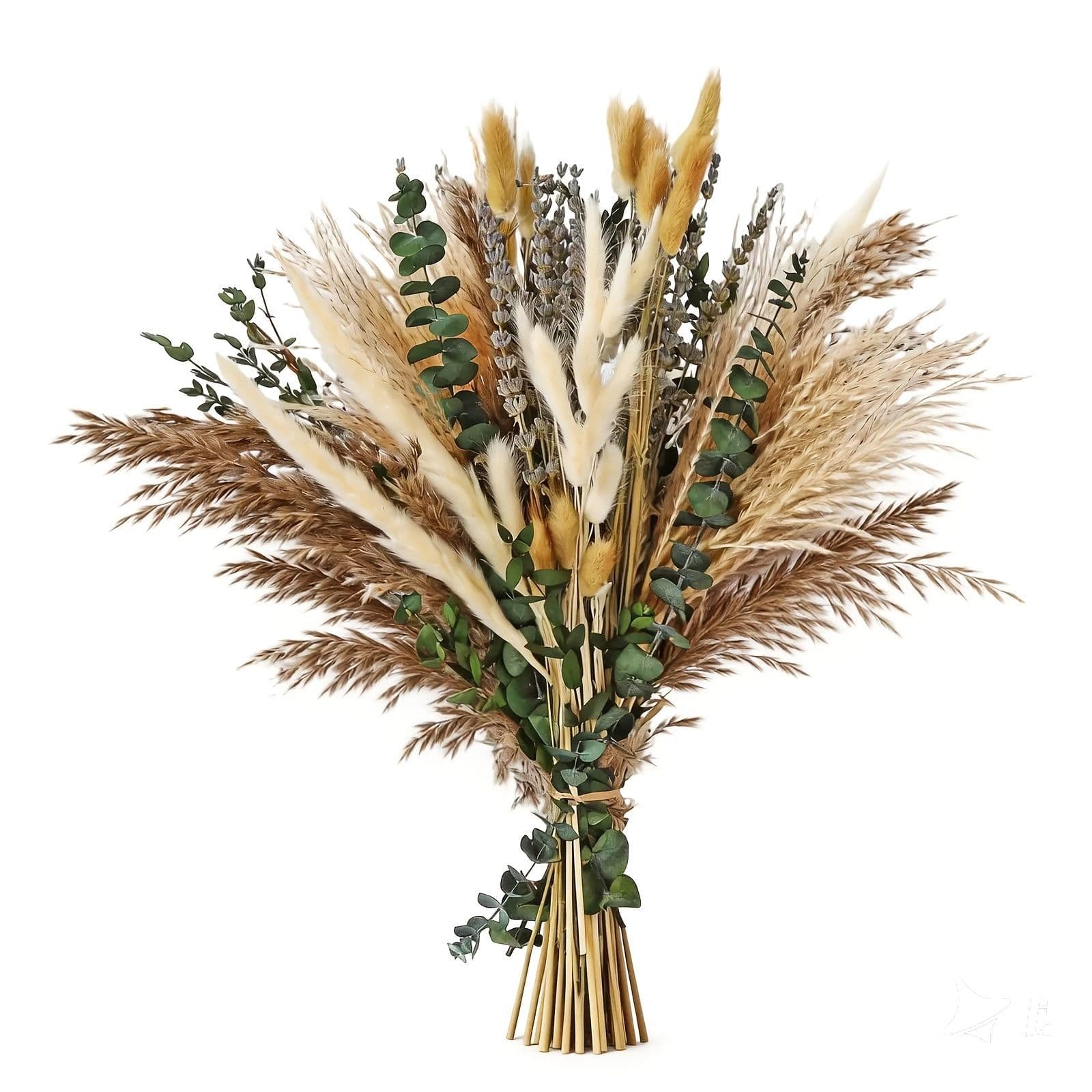 Cross-Border Hot Selling Dried Flower Bouquet Bohemian Decor Reed Pampas Grass Set Eternal Bouquet Factory Direct