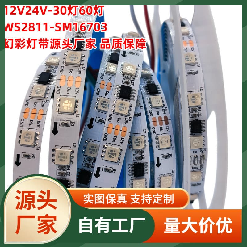 Engineering Hot Sale 12V 20 Segment 60 Lights WS2811 16703 SMD External IC Programmable Full Color RGB LED Strip