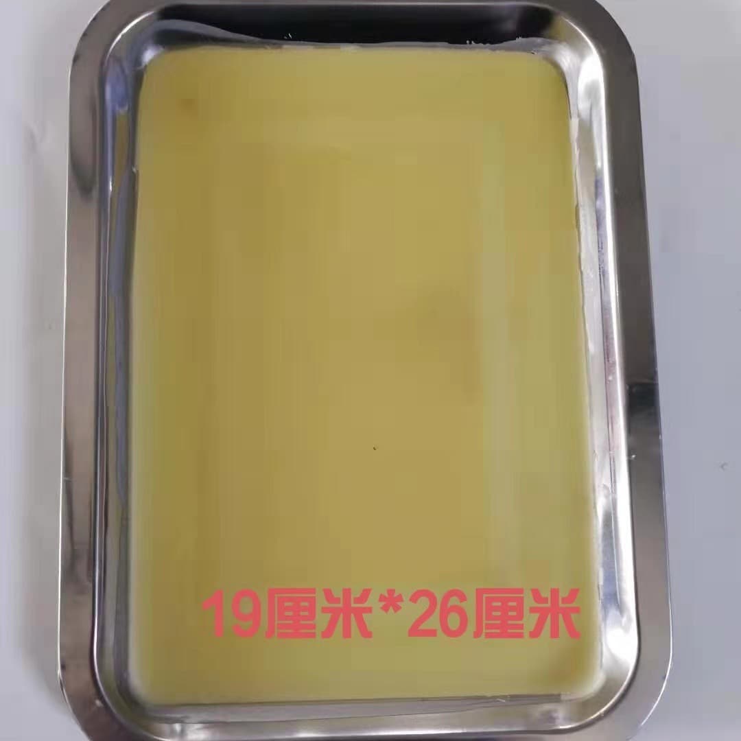 19cm*26cm Stainless Steel Dissection Pan (27003) for Middle School Biology Experiments